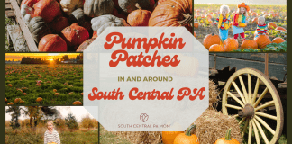 pumpkin patches