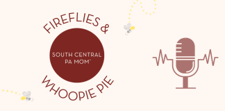fireflies and whoopie pie