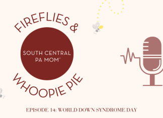 fireflies and whoopie pie, down syndrome